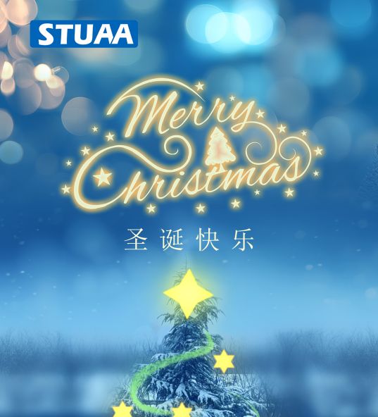 凝心聚力，圣诞启新程！